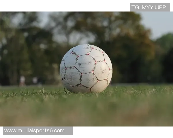 足球大学：培养未来足球人才的摇篮与竞技精神的传承之地